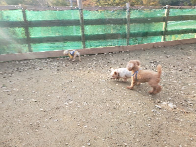 f:id:roukenhome-ann:20191214053602j:plain f:id:roukenhome-ann:20191214053602j:plain