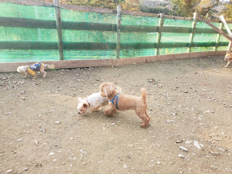 f:id:roukenhome-ann:20191214053614j:plain f:id:roukenhome-ann:20191214053614j:plain