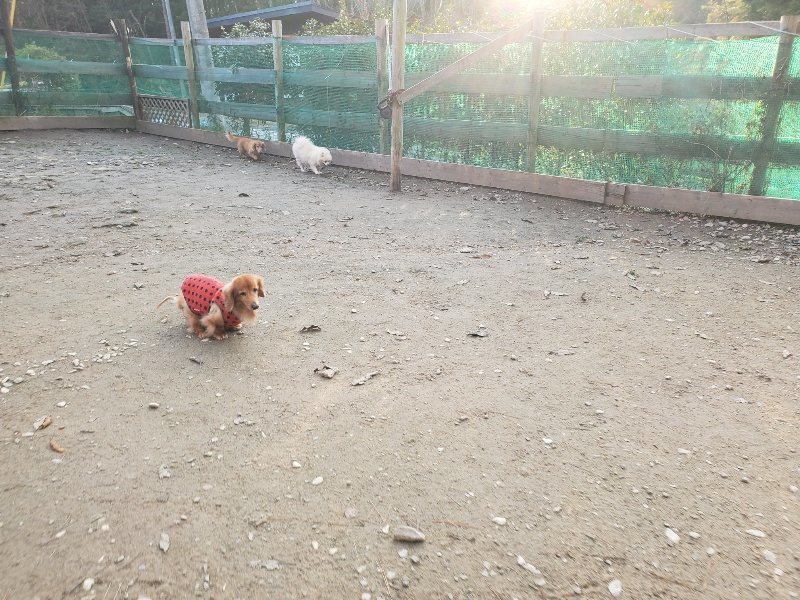f:id:roukenhome-ann:20191214053622j:plain f:id:roukenhome-ann:20191214053622j:plain