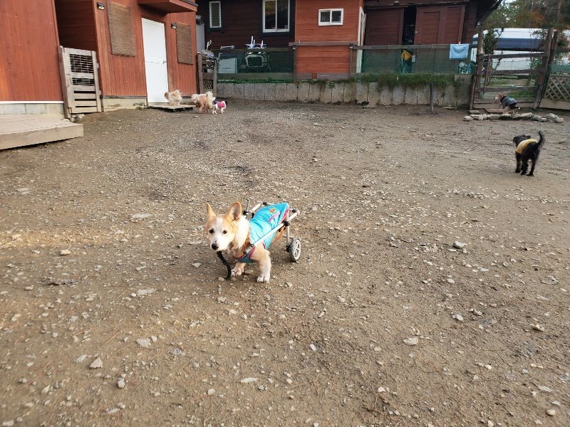 f:id:roukenhome-ann:20191214053629j:plain f:id:roukenhome-ann:20191214053629j:plain