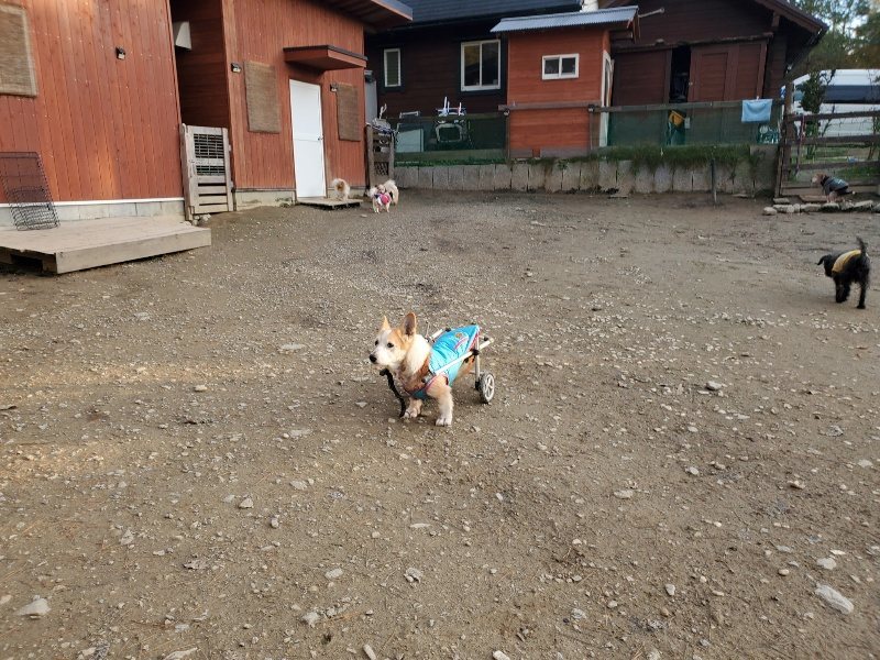 f:id:roukenhome-ann:20191214053635j:plain f:id:roukenhome-ann:20191214053635j:plain