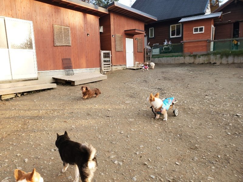 f:id:roukenhome-ann:20191214053701j:plain f:id:roukenhome-ann:20191214053701j:plain