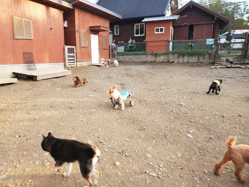 f:id:roukenhome-ann:20191214053708j:plain f:id:roukenhome-ann:20191214053708j:plain