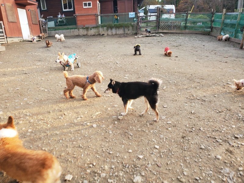 f:id:roukenhome-ann:20191214053715j:plain f:id:roukenhome-ann:20191214053715j:plain
