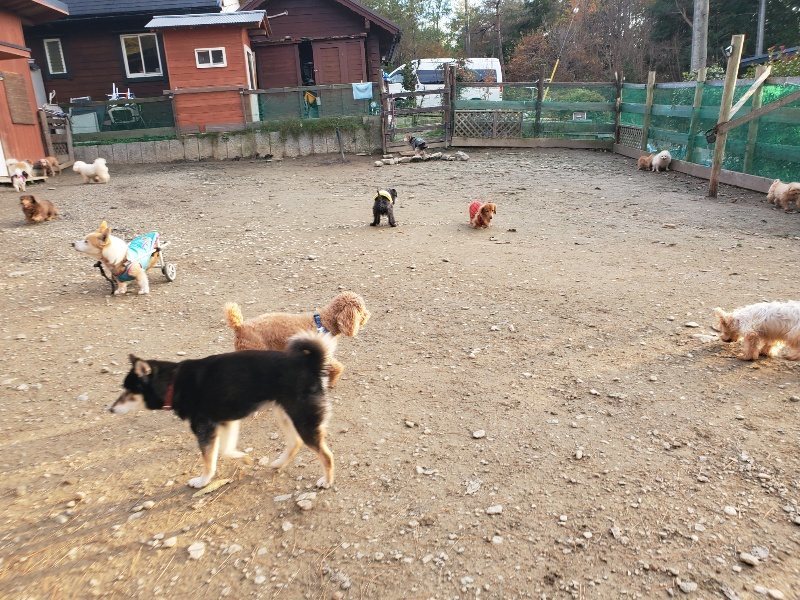 f:id:roukenhome-ann:20191214053732j:plain f:id:roukenhome-ann:20191214053732j:plain