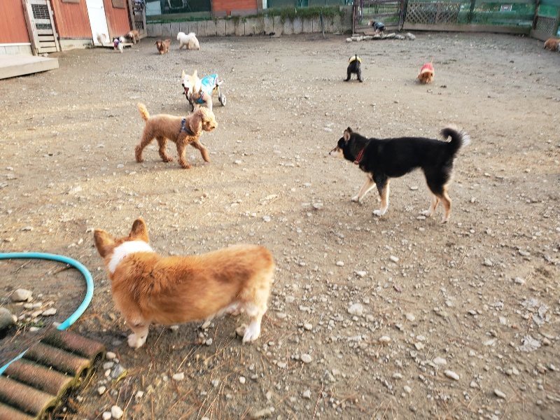 f:id:roukenhome-ann:20191214053740j:plain f:id:roukenhome-ann:20191214053740j:plain
