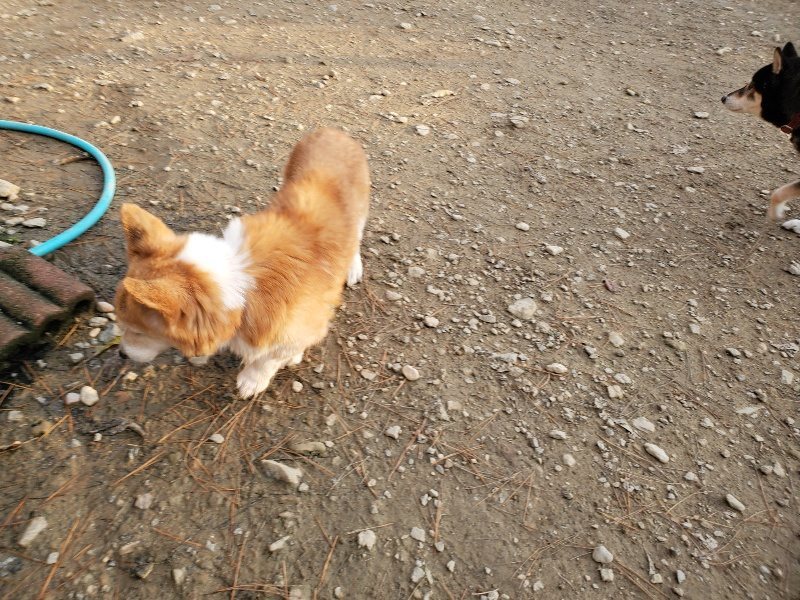 f:id:roukenhome-ann:20191214053748j:plain f:id:roukenhome-ann:20191214053748j:plain