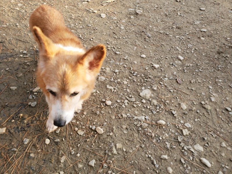 f:id:roukenhome-ann:20191214053757j:plain f:id:roukenhome-ann:20191214053757j:plain