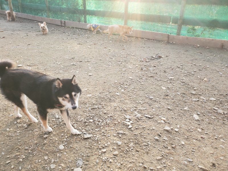 f:id:roukenhome-ann:20191214053809j:plain f:id:roukenhome-ann:20191214053809j:plain