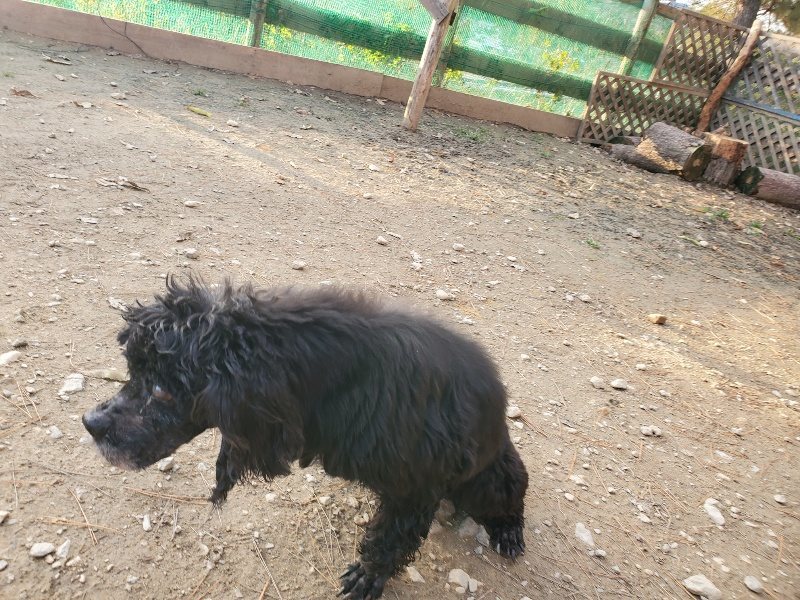 f:id:roukenhome-ann:20191214053817j:plain f:id:roukenhome-ann:20191214053817j:plain