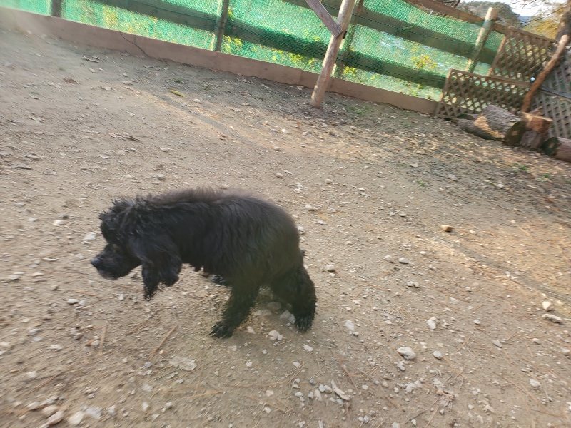 f:id:roukenhome-ann:20191214053845j:plain f:id:roukenhome-ann:20191214053845j:plain