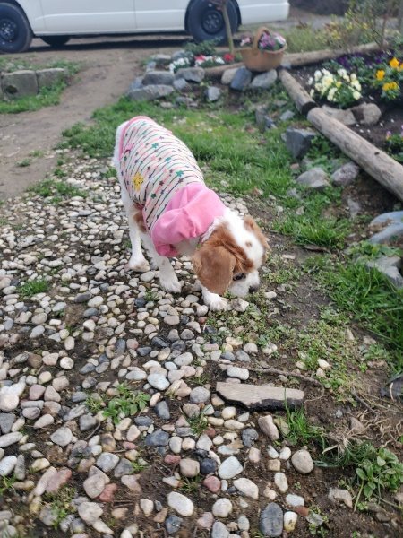 f:id:roukenhome-ann:20191214054207j:plain f:id:roukenhome-ann:20191214054207j:plain