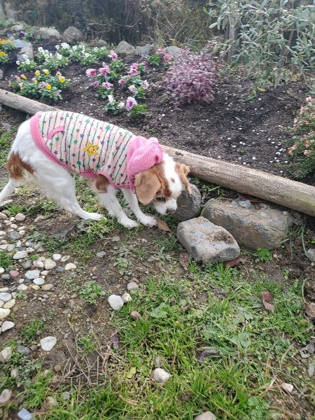 f:id:roukenhome-ann:20191214054235j:plain f:id:roukenhome-ann:20191214054235j:plain