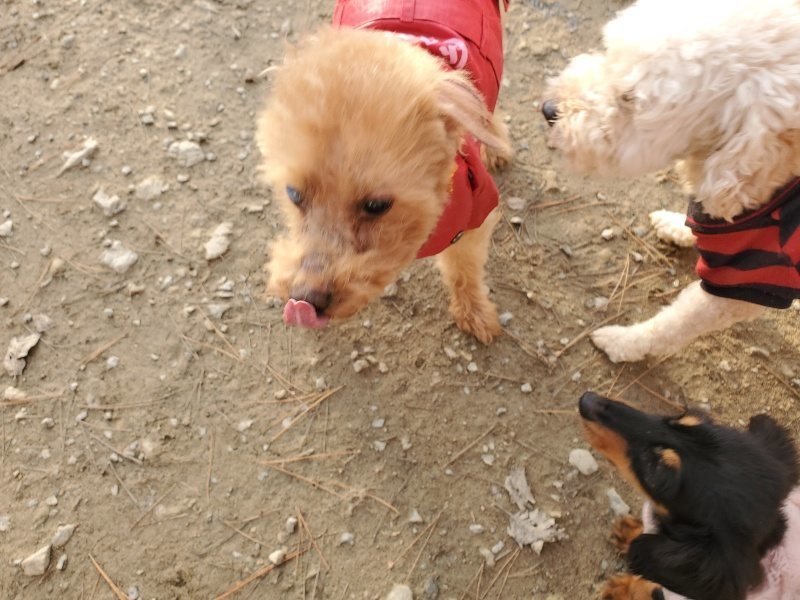 f:id:roukenhome-ann:20191214070030j:plain f:id:roukenhome-ann:20191214070030j:plain