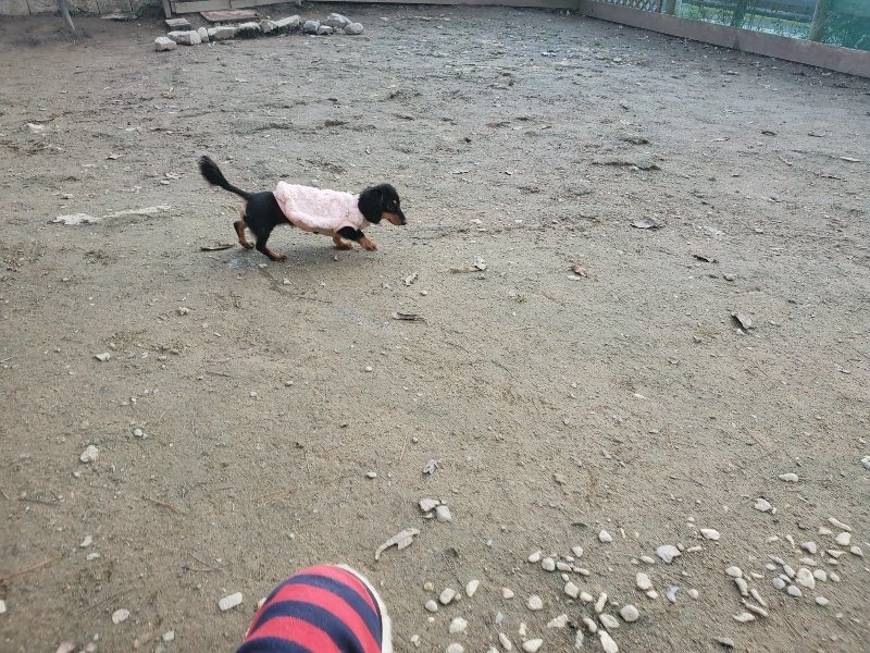 f:id:roukenhome-ann:20191214070042j:plain f:id:roukenhome-ann:20191214070042j:plain