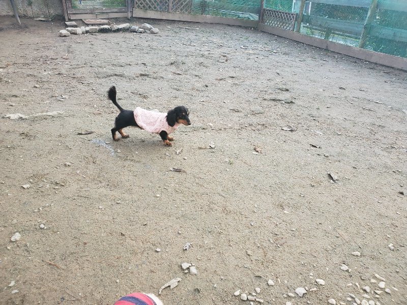 f:id:roukenhome-ann:20191214070106j:plain f:id:roukenhome-ann:20191214070106j:plain