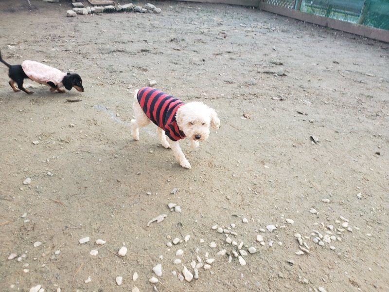 f:id:roukenhome-ann:20191214070113j:plain f:id:roukenhome-ann:20191214070113j:plain