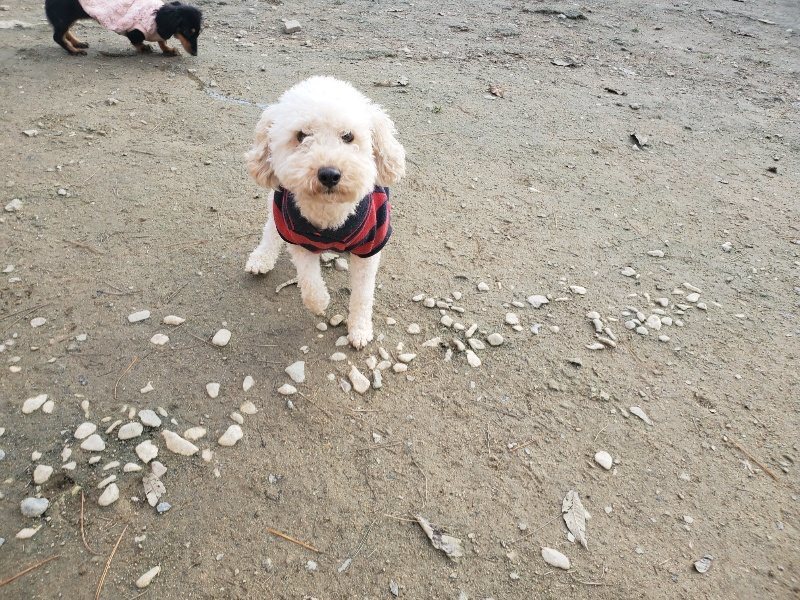 f:id:roukenhome-ann:20191214070123j:plain f:id:roukenhome-ann:20191214070123j:plain