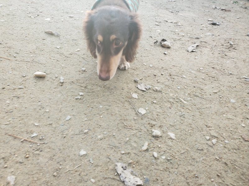 f:id:roukenhome-ann:20191214070133j:plain f:id:roukenhome-ann:20191214070133j:plain