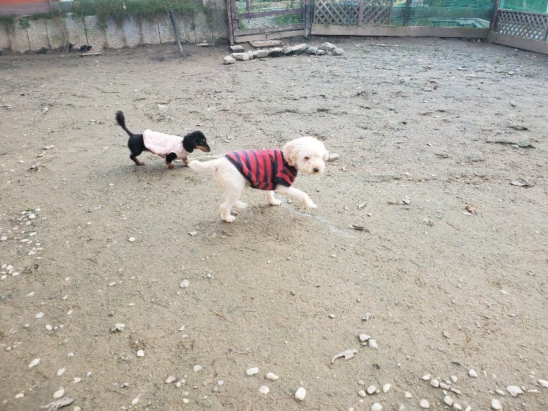 f:id:roukenhome-ann:20191214070141j:plain f:id:roukenhome-ann:20191214070141j:plain