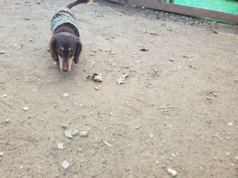 f:id:roukenhome-ann:20191214070156j:plain f:id:roukenhome-ann:20191214070156j:plain