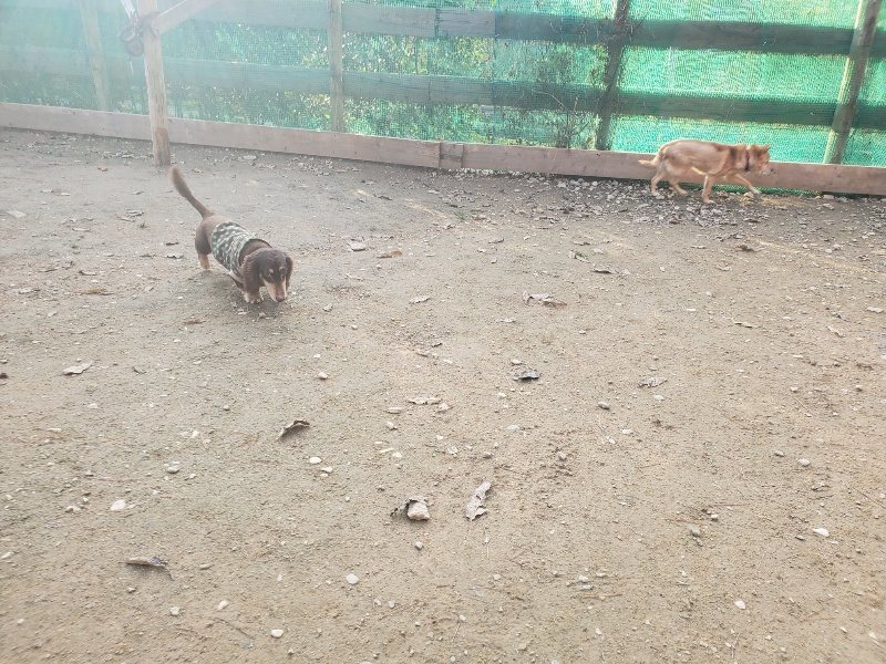 f:id:roukenhome-ann:20191214070202j:plain f:id:roukenhome-ann:20191214070202j:plain