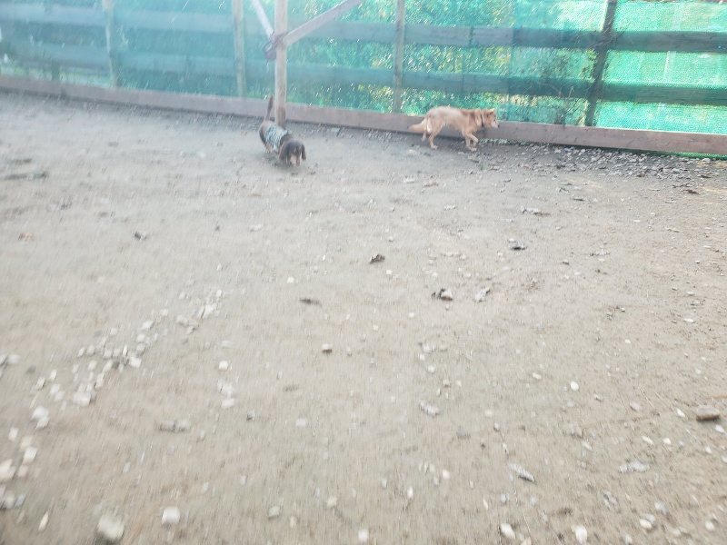 f:id:roukenhome-ann:20191214070208j:plain f:id:roukenhome-ann:20191214070208j:plain