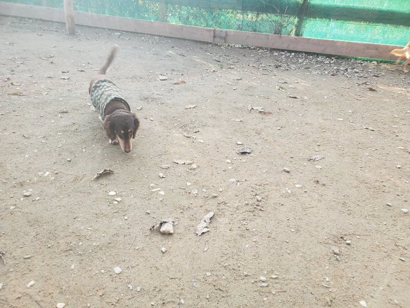 f:id:roukenhome-ann:20191214070221j:plain f:id:roukenhome-ann:20191214070221j:plain