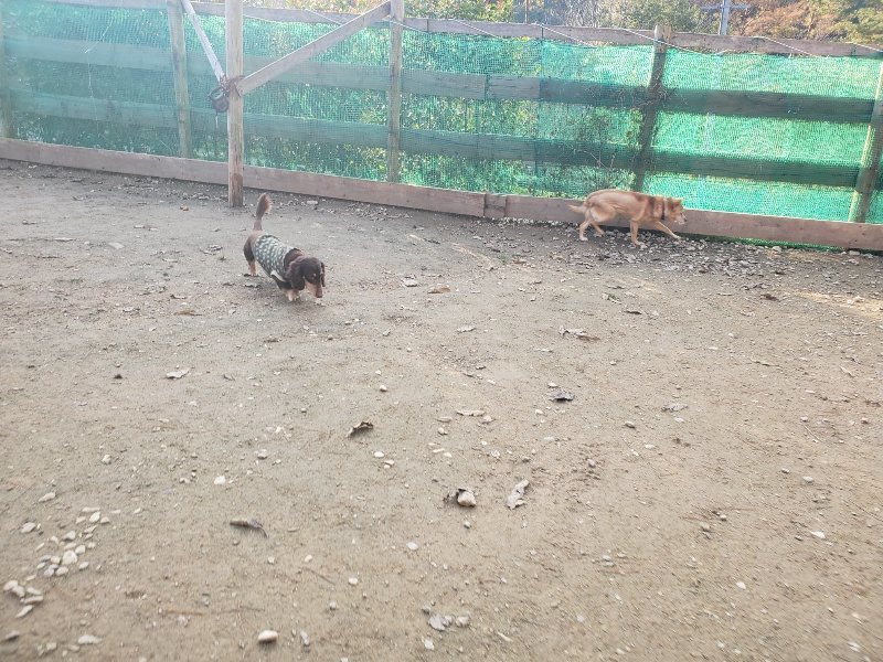 f:id:roukenhome-ann:20191214070229j:plain f:id:roukenhome-ann:20191214070229j:plain