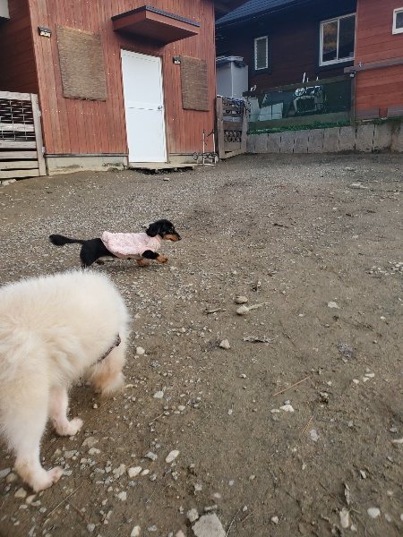 f:id:roukenhome-ann:20191214070241j:plain f:id:roukenhome-ann:20191214070241j:plain