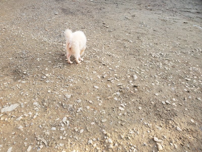 f:id:roukenhome-ann:20191214070328j:plain f:id:roukenhome-ann:20191214070328j:plain