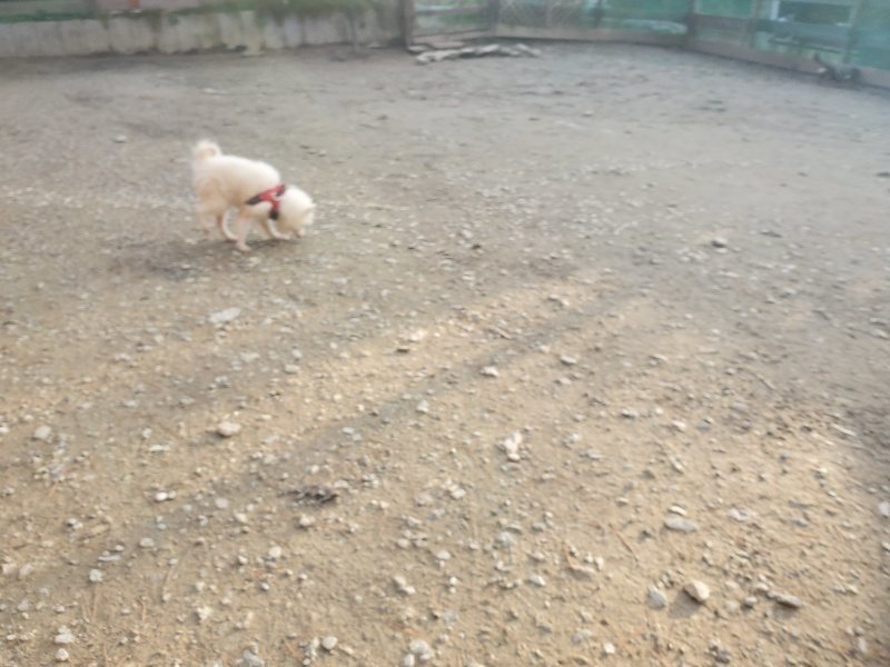 f:id:roukenhome-ann:20191214070333j:plain f:id:roukenhome-ann:20191214070333j:plain