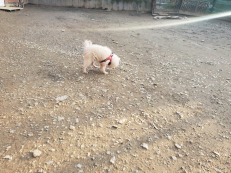 f:id:roukenhome-ann:20191214070340j:plain f:id:roukenhome-ann:20191214070340j:plain