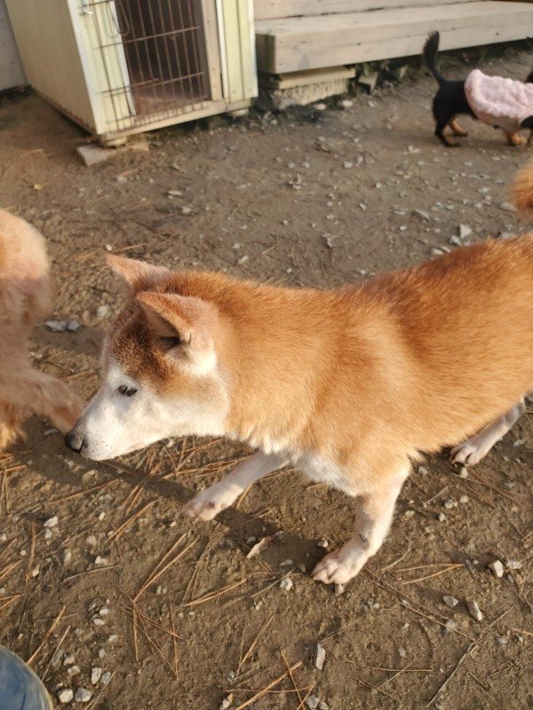 f:id:roukenhome-ann:20191214070356j:plain f:id:roukenhome-ann:20191214070356j:plain