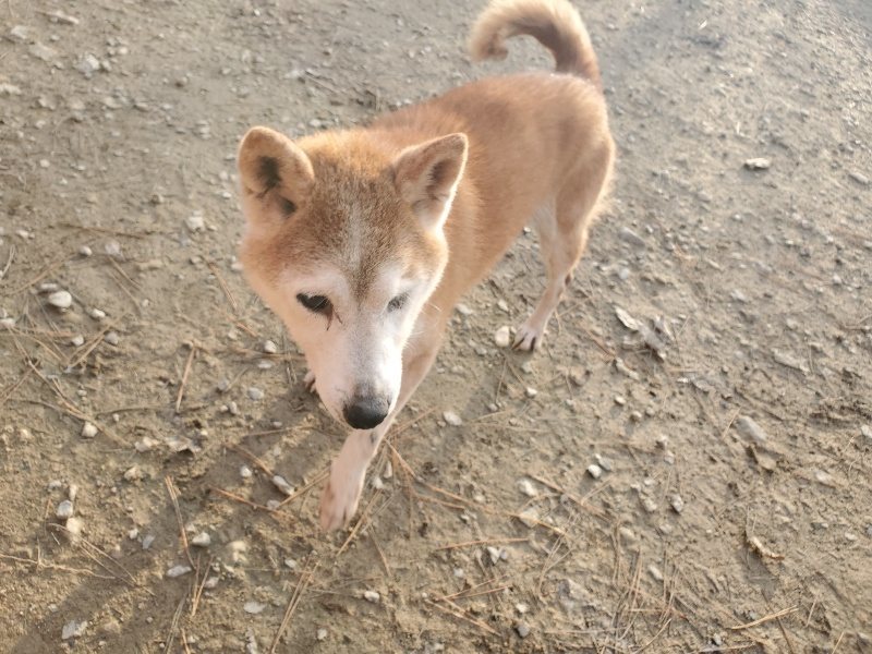 f:id:roukenhome-ann:20191214070410j:plain f:id:roukenhome-ann:20191214070410j:plain