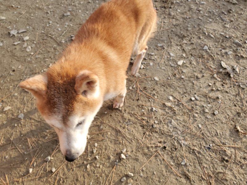 f:id:roukenhome-ann:20191214070418j:plain f:id:roukenhome-ann:20191214070418j:plain