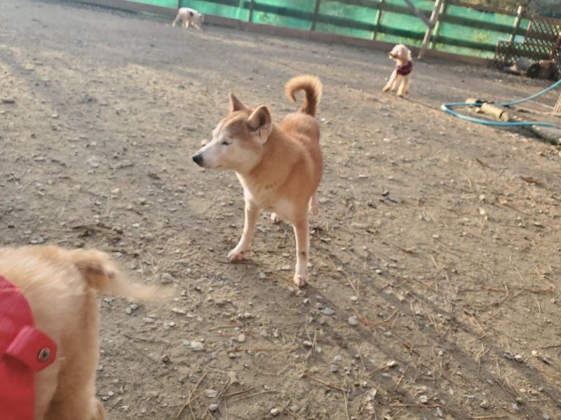 f:id:roukenhome-ann:20191214070442j:plain f:id:roukenhome-ann:20191214070442j:plain