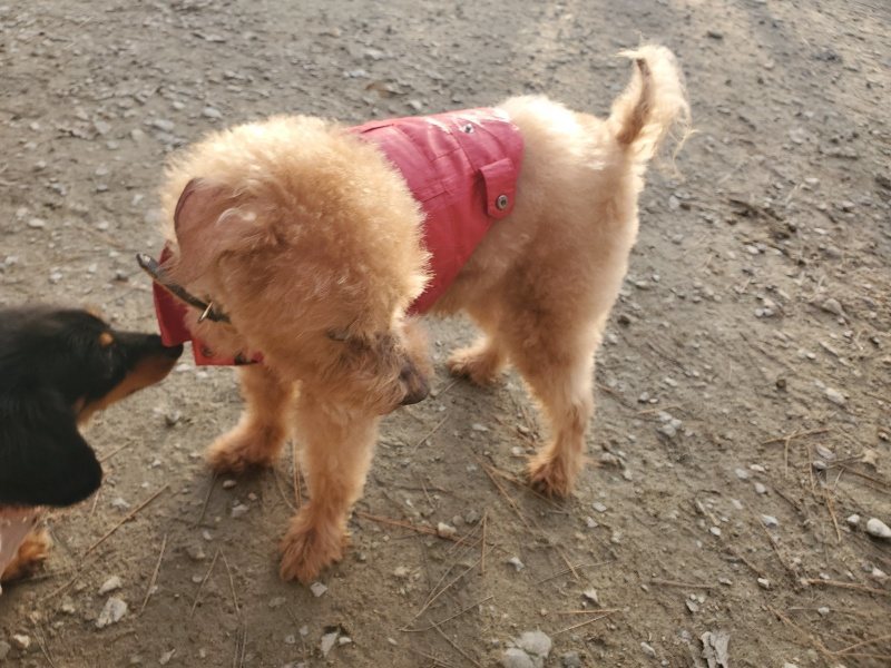 f:id:roukenhome-ann:20191214070447j:plain f:id:roukenhome-ann:20191214070447j:plain