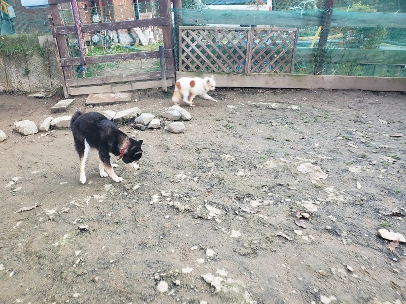 f:id:roukenhome-ann:20191214070739j:plain f:id:roukenhome-ann:20191214070739j:plain