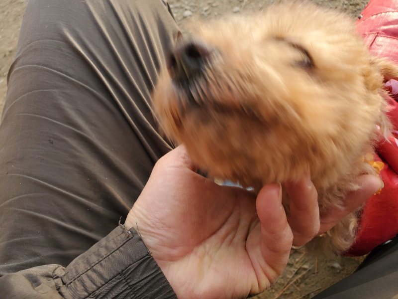 f:id:roukenhome-ann:20191214070801j:plain f:id:roukenhome-ann:20191214070801j:plain