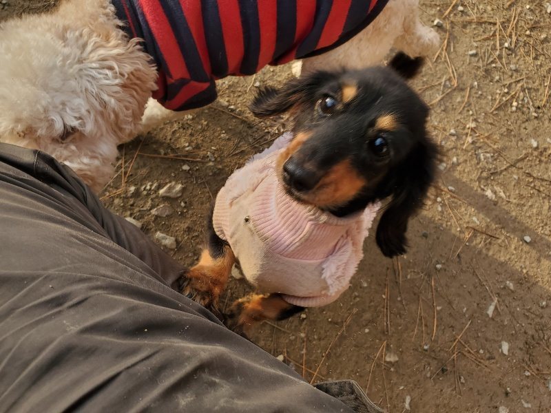 f:id:roukenhome-ann:20191214070810j:plain f:id:roukenhome-ann:20191214070810j:plain