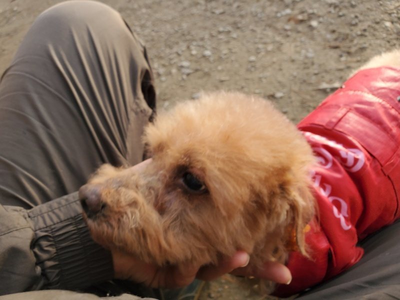 f:id:roukenhome-ann:20191214070823j:plain f:id:roukenhome-ann:20191214070823j:plain