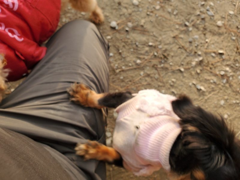 f:id:roukenhome-ann:20191214070836j:plain f:id:roukenhome-ann:20191214070836j:plain