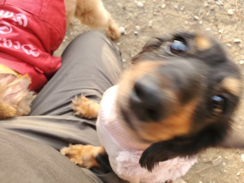 f:id:roukenhome-ann:20191214070840j:plain f:id:roukenhome-ann:20191214070840j:plain