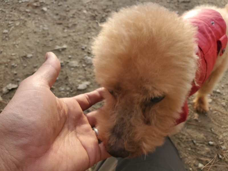f:id:roukenhome-ann:20191214070847j:plain f:id:roukenhome-ann:20191214070847j:plain