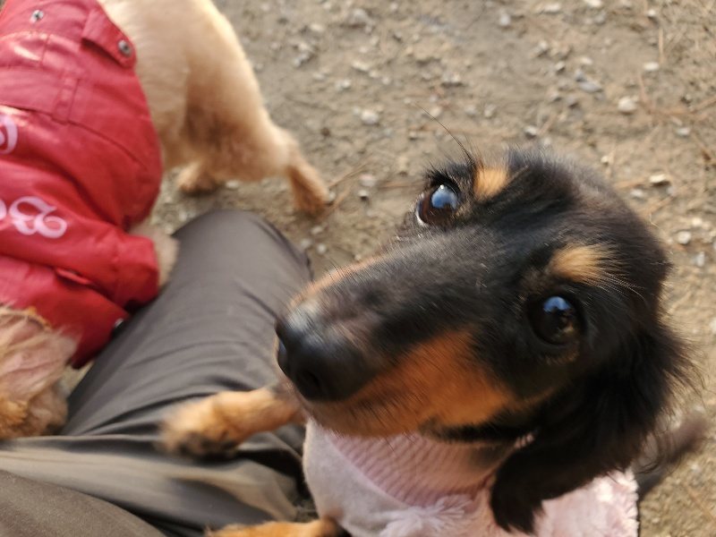 f:id:roukenhome-ann:20191214070853j:plain f:id:roukenhome-ann:20191214070853j:plain