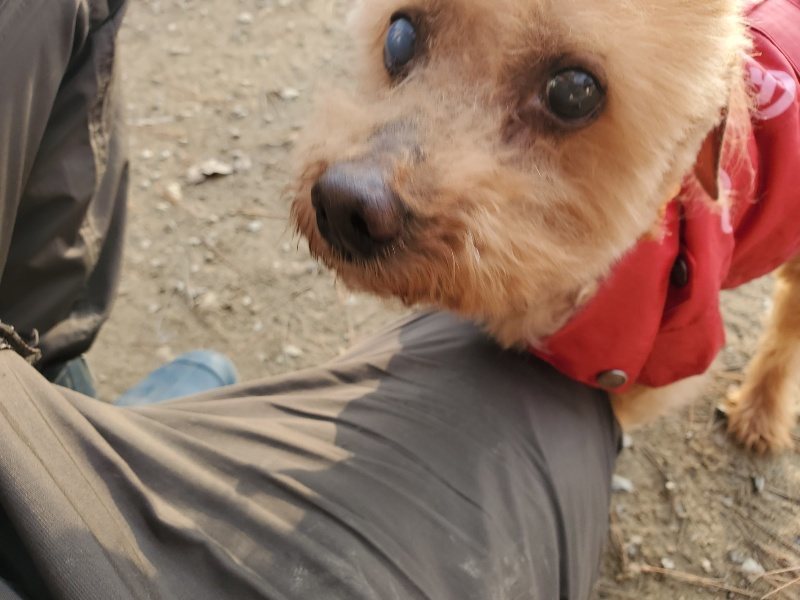 f:id:roukenhome-ann:20191214070859j:plain f:id:roukenhome-ann:20191214070859j:plain
