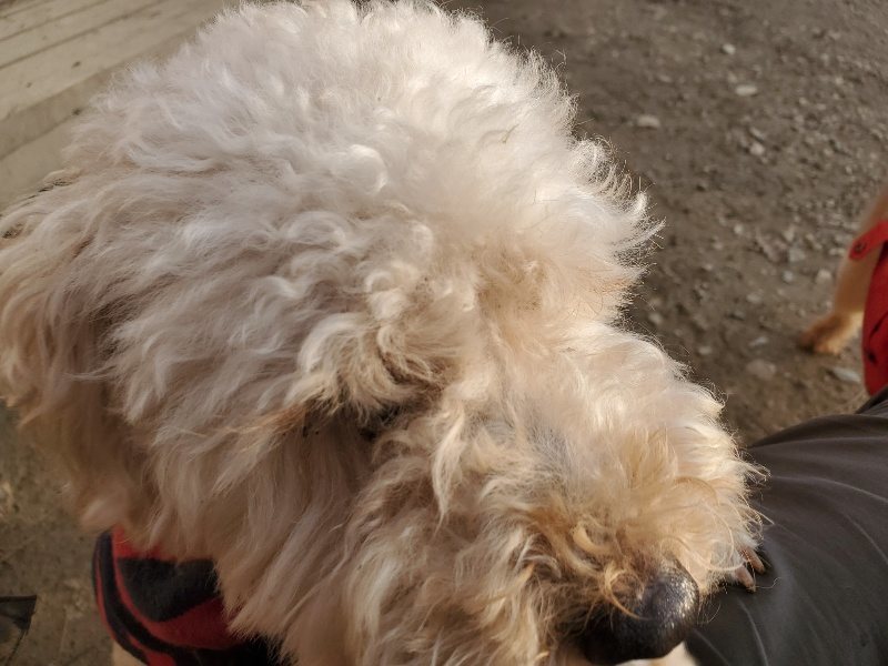 f:id:roukenhome-ann:20191214070912j:plain f:id:roukenhome-ann:20191214070912j:plain