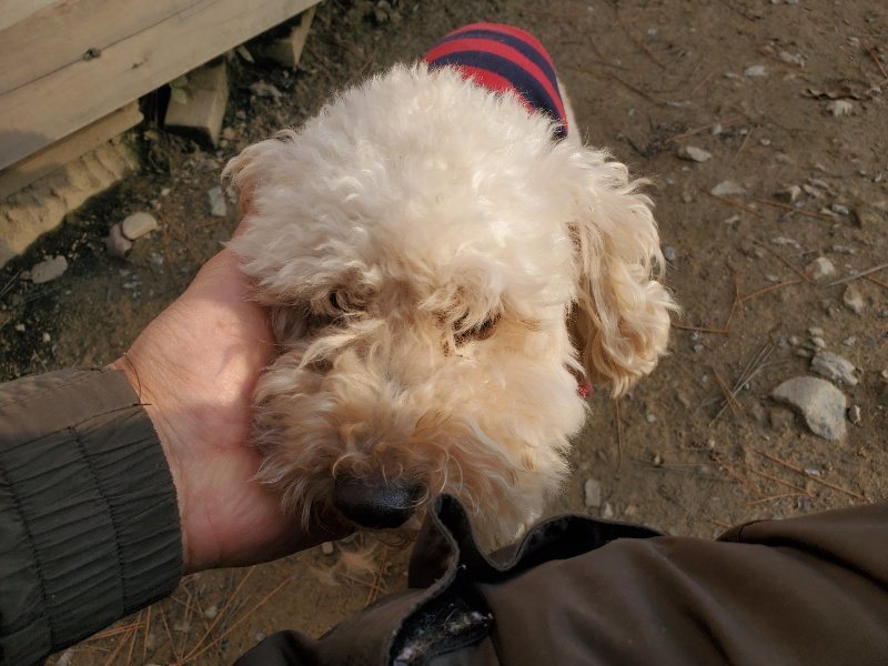 f:id:roukenhome-ann:20191214070927j:plain f:id:roukenhome-ann:20191214070927j:plain