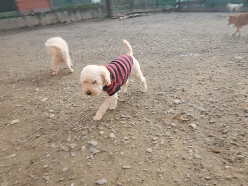 f:id:roukenhome-ann:20191214070943j:plain f:id:roukenhome-ann:20191214070943j:plain